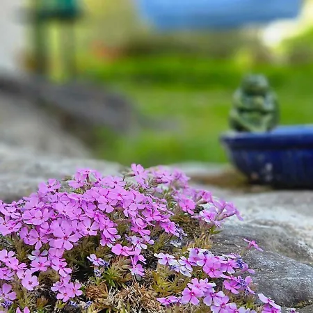 Huoneistomajoitus Unelma Apartament Mäntyharju