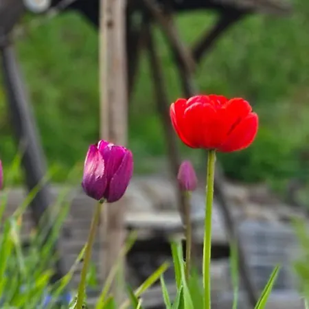Huoneistomajoitus Unelma Apartament Mäntyharju