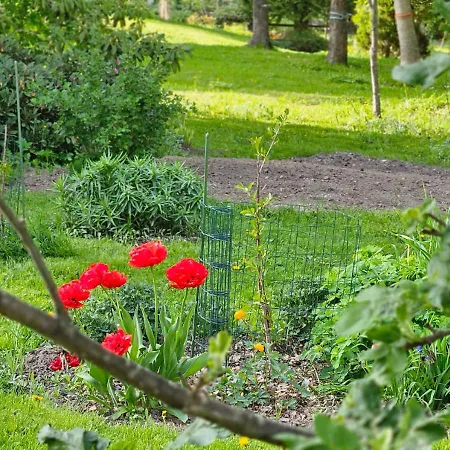 Apartament Huoneistomajoitus Unelma *