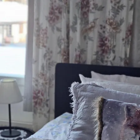 Huoneistomajoitus Unelma 公寓