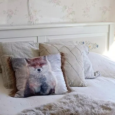 Huoneistomajoitus Unelma