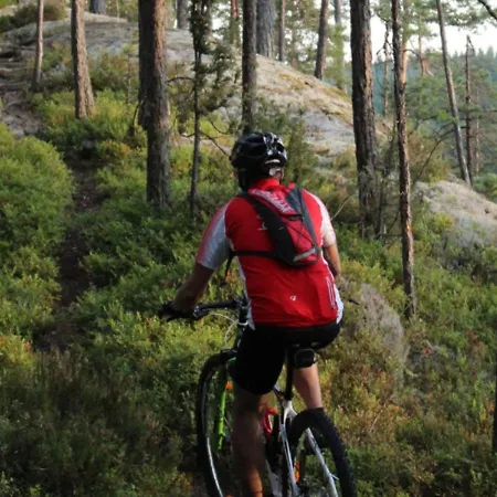 Huoneistomajoitus Unelma Apartament