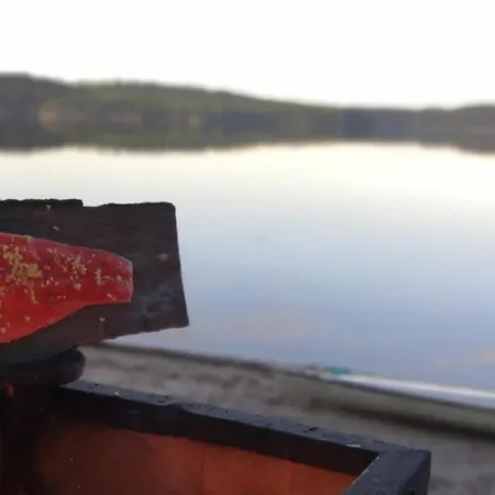 Huoneistomajoitus Unelma Mäntyharju