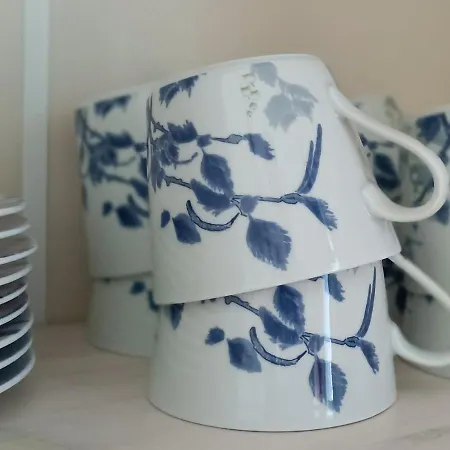 Huoneistomajoitus Unelma