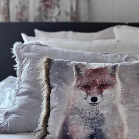 Huoneistomajoitus Unelma Apartament