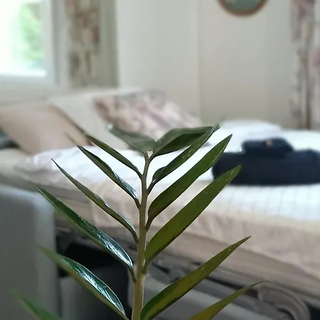 Huoneistomajoitus Unelma