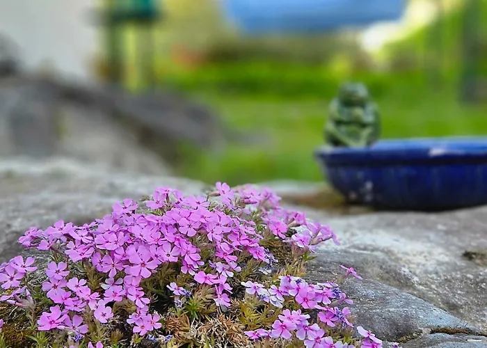 Huoneistomajoitus Unelma Huoneisto Mäntyharju