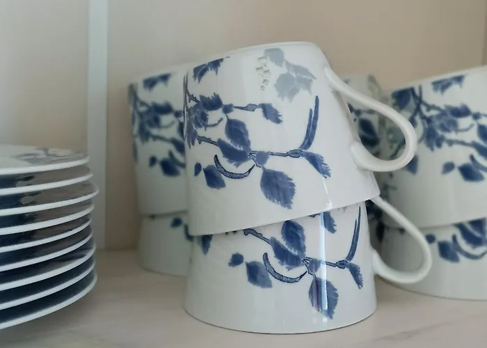 Huoneistomajoitus Unelma